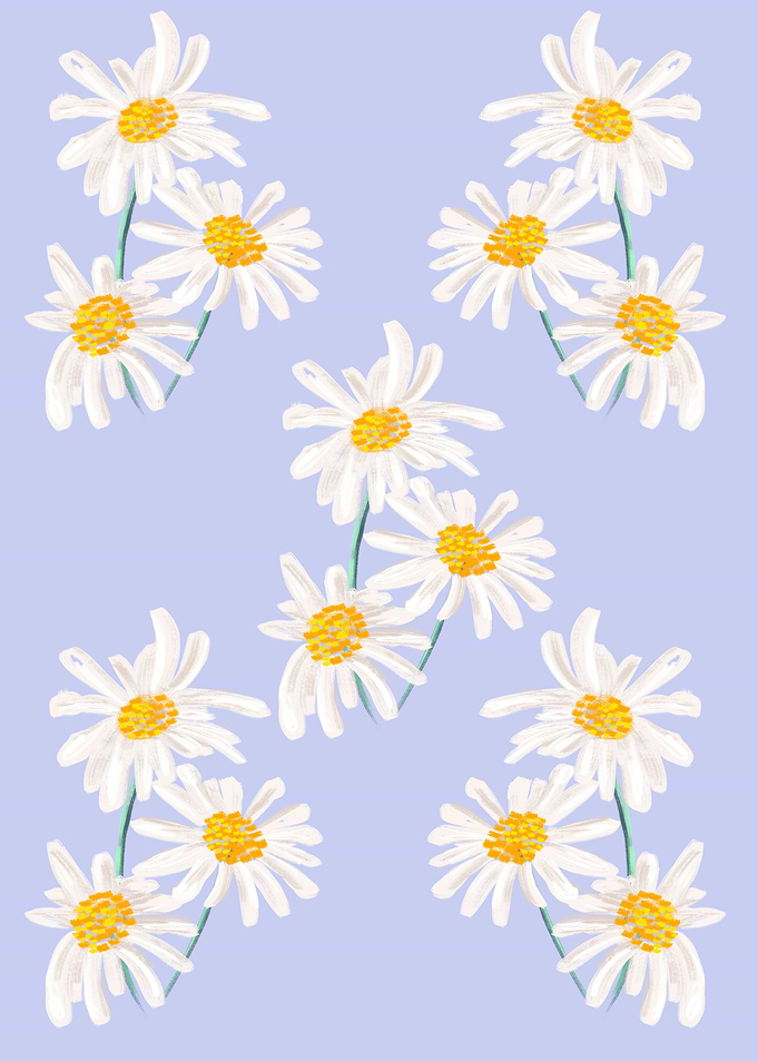 Daisies