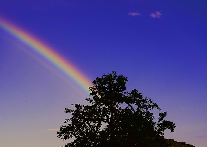 Rainbow Nature Landscape