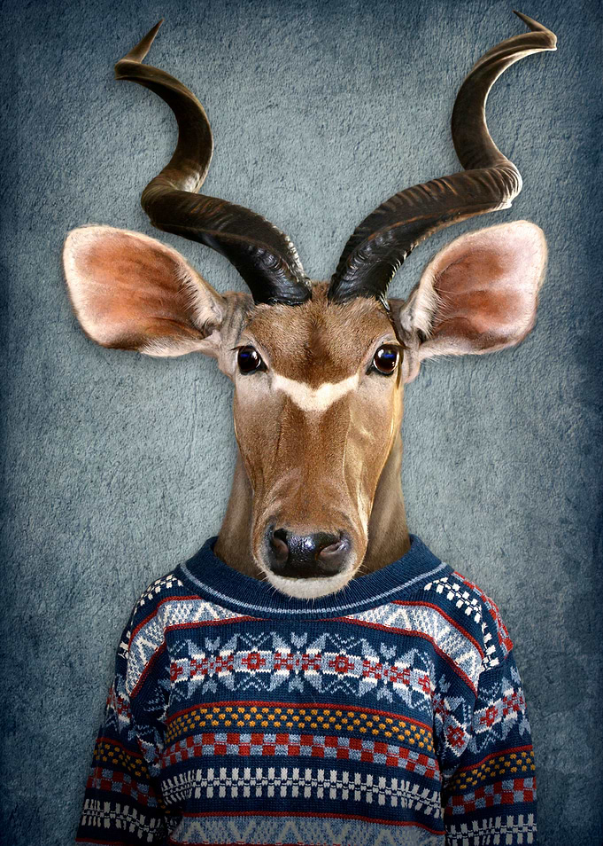 Antelope in clothes