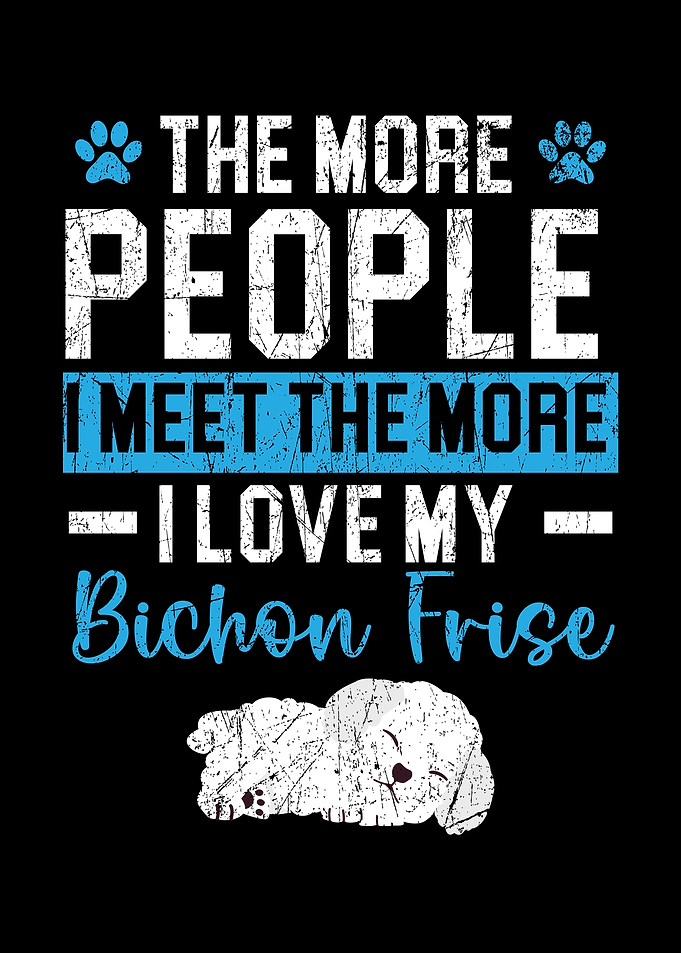 Bichon Frise