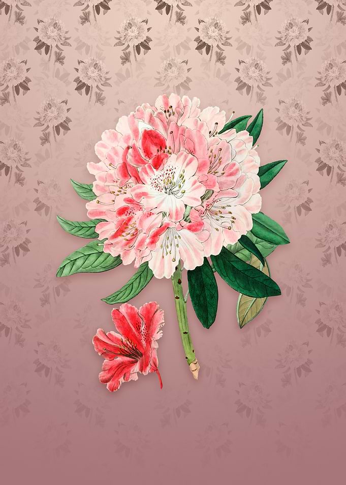 Rhododendron Flower