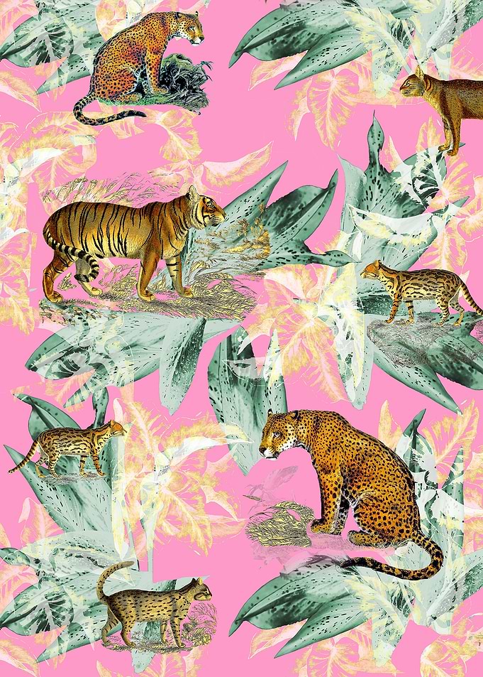 Tiger and Leopard on Pink