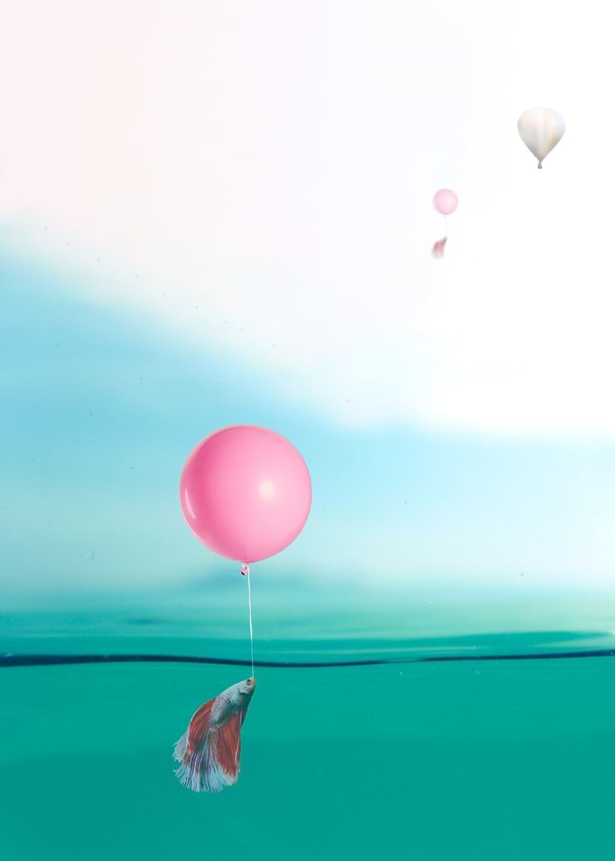 Creative Fishing