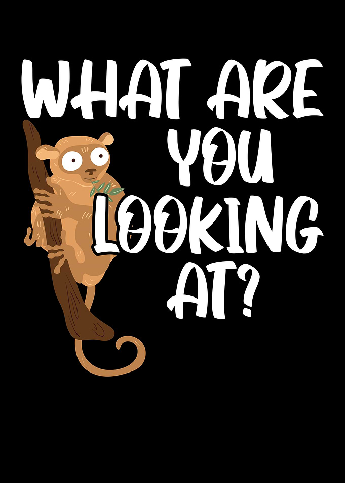 What Are You Looking At