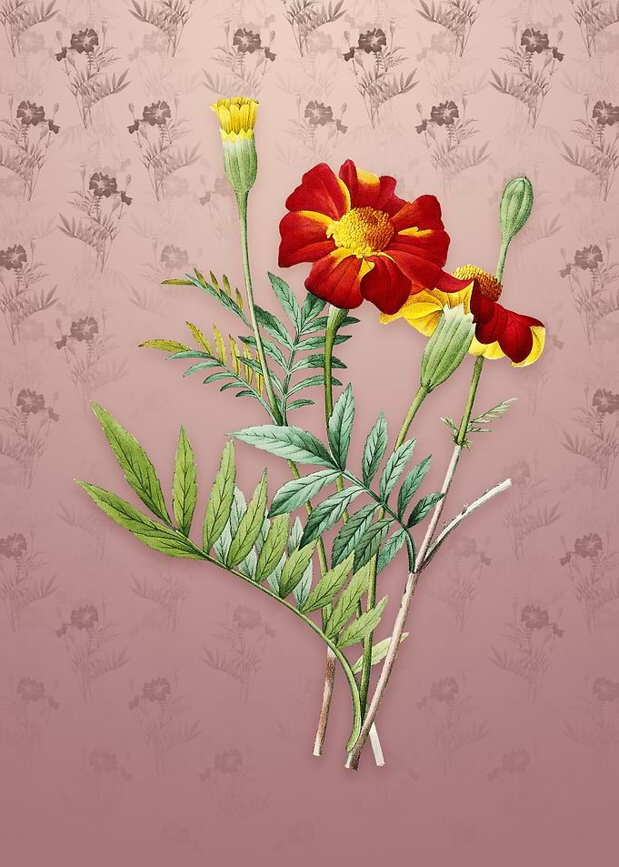Vintage Mexican Marigold