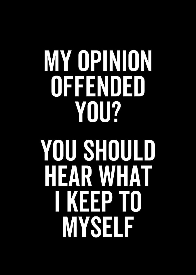 My Opinion Offended You