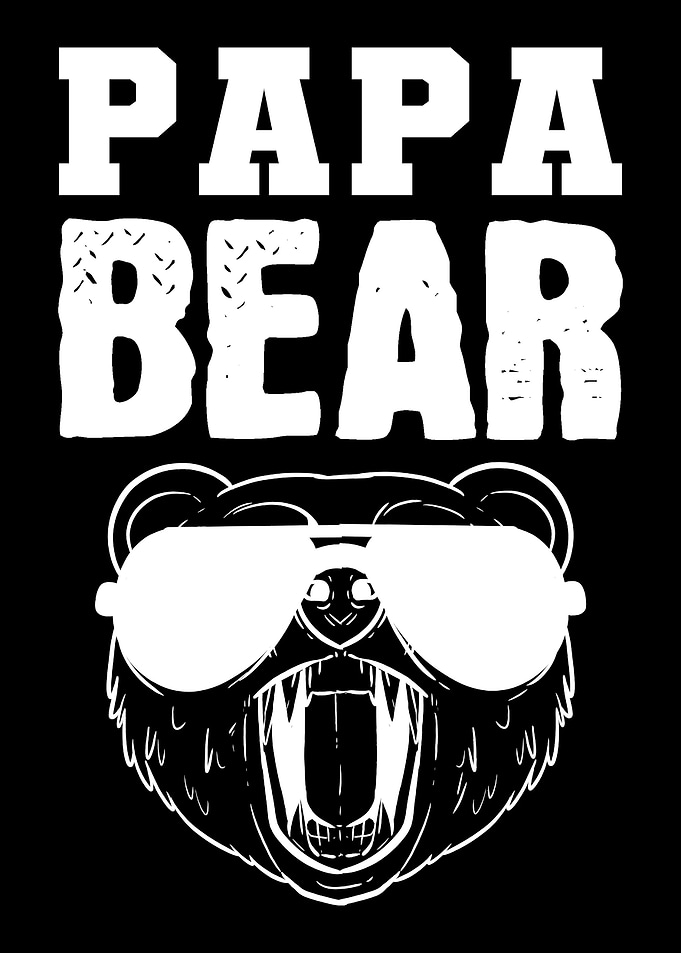 Papa Bear Cool Dad Gift