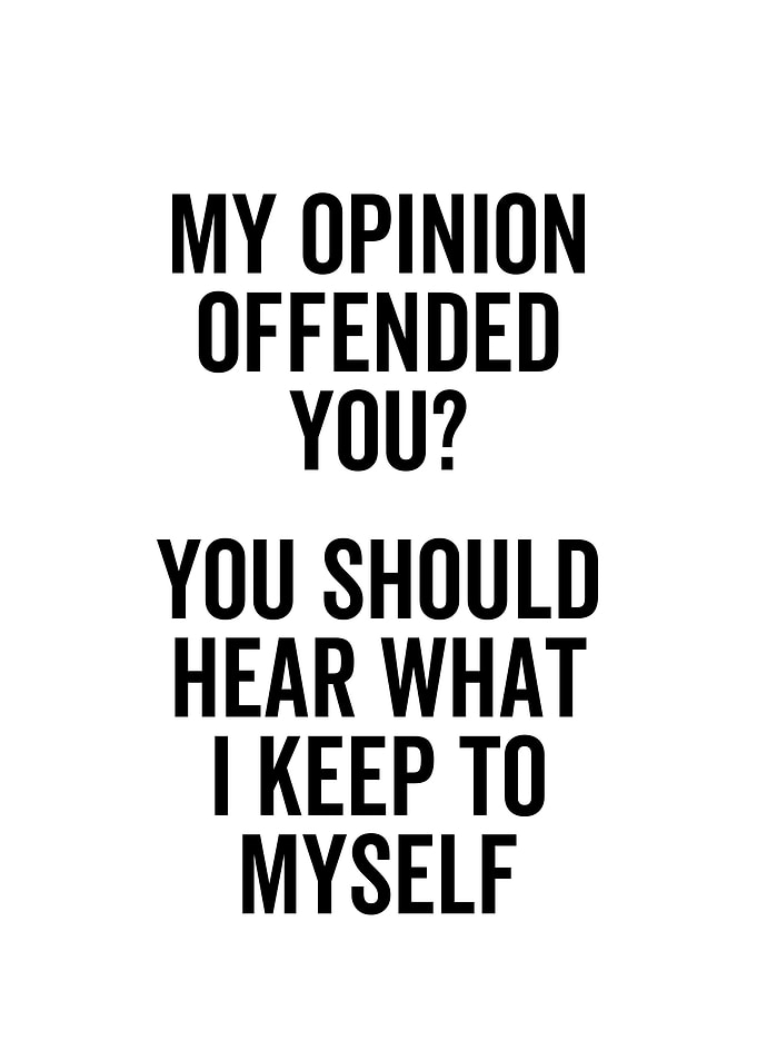 My Opinion Offended You
