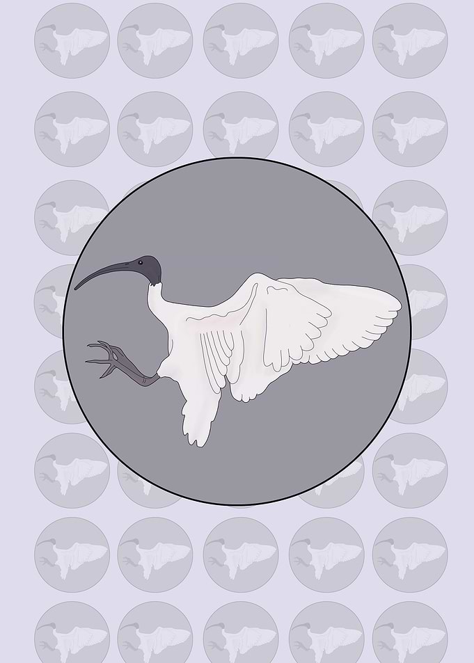 Ibis Bin