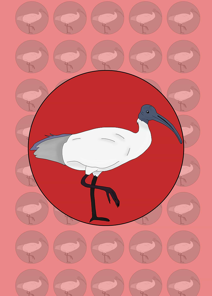 Bin Bird