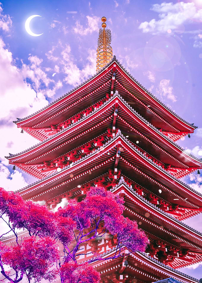 The Moon Castle