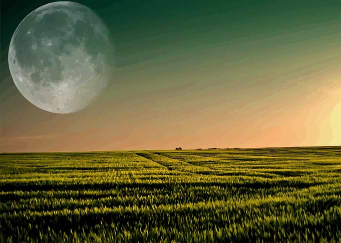 Green Field