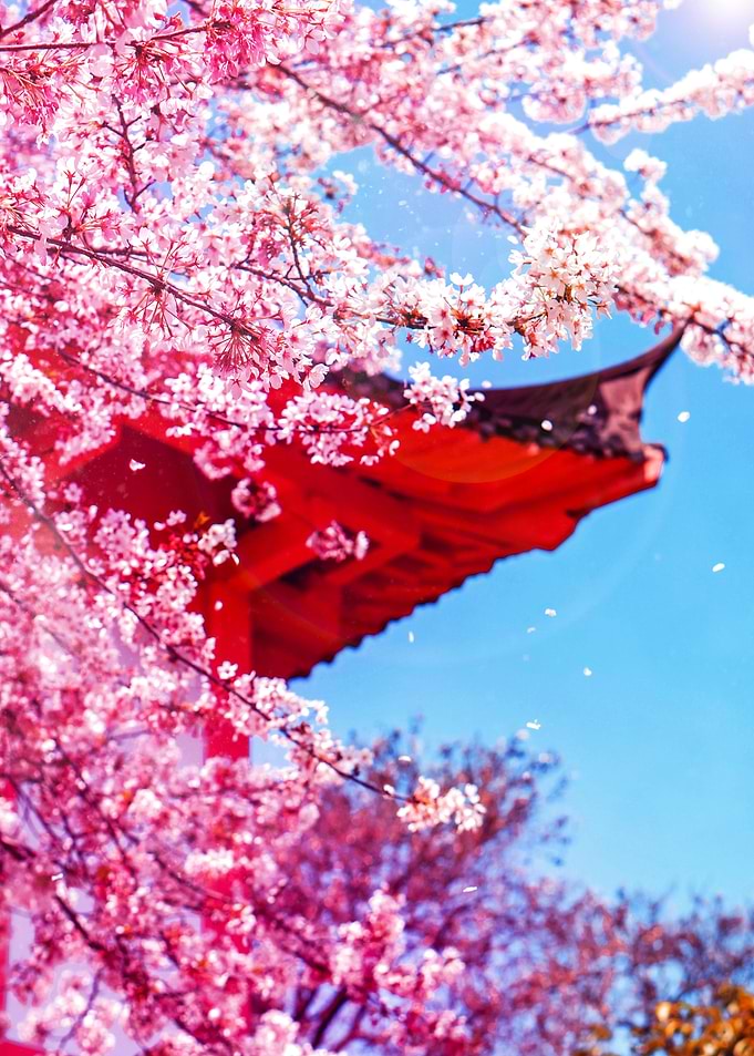 Sakurasteel