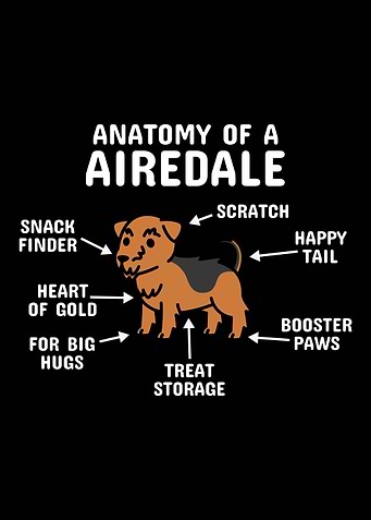 Anatomy Airedale Terrier