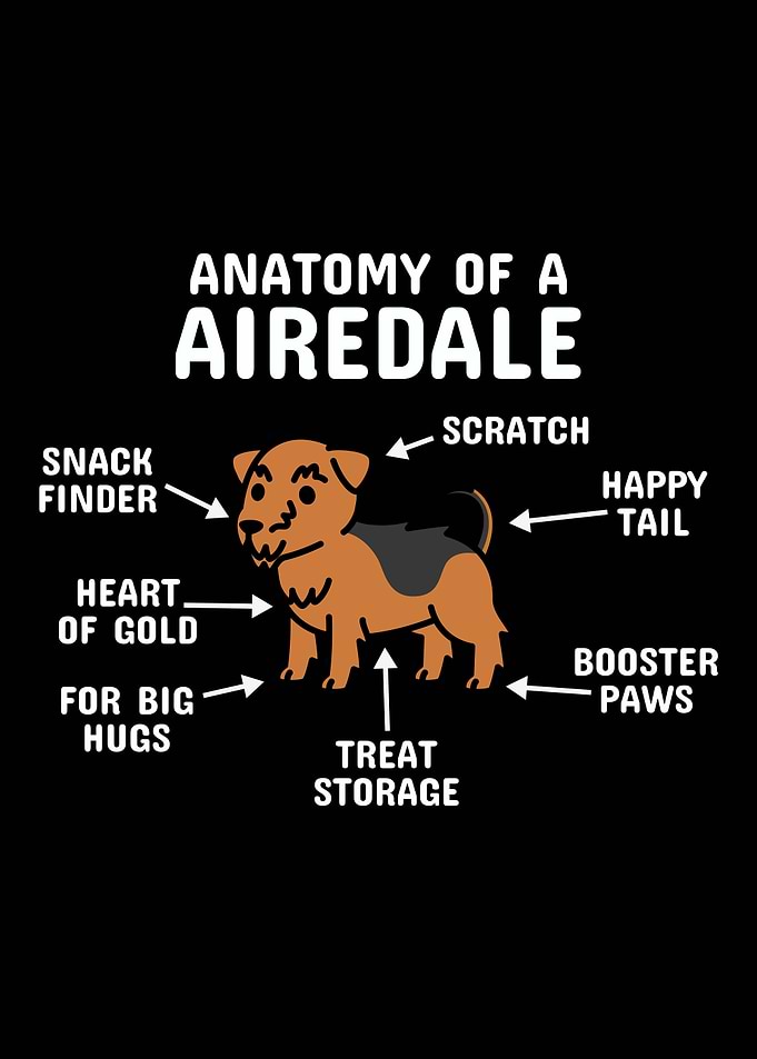 Anatomy Airedale Terrier