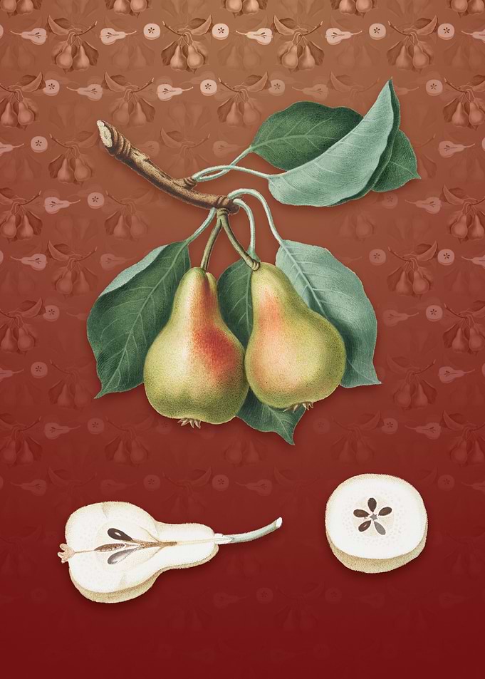 Vintage Pear on Falu Red