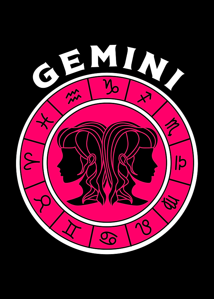 Gemini Sign