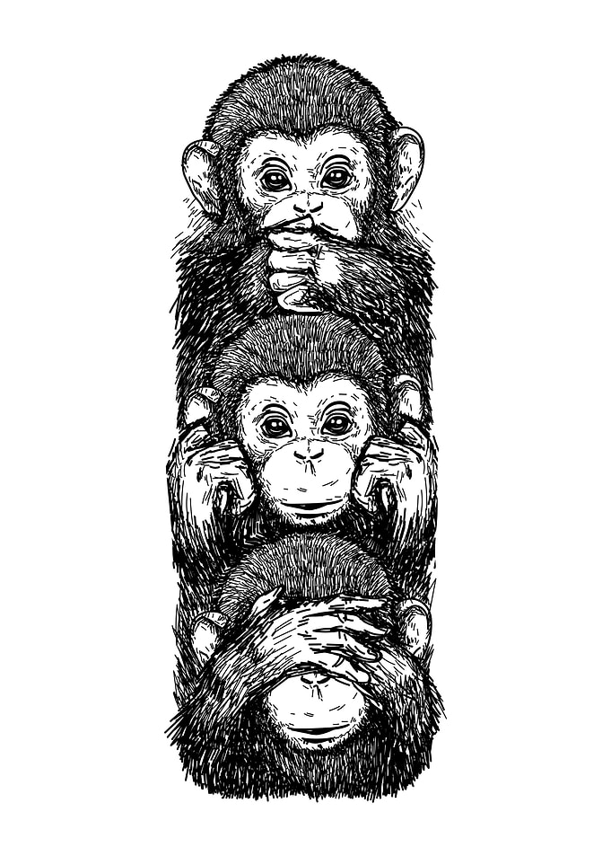 monkey