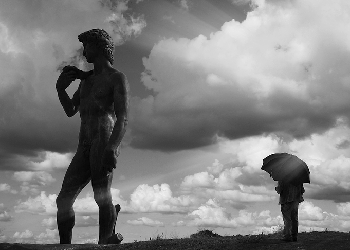 the admiration of David