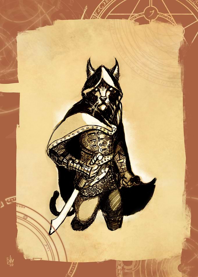 AssasinCat