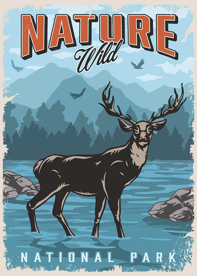 Nature Wild National Park