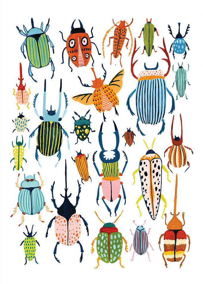Bugs Collection