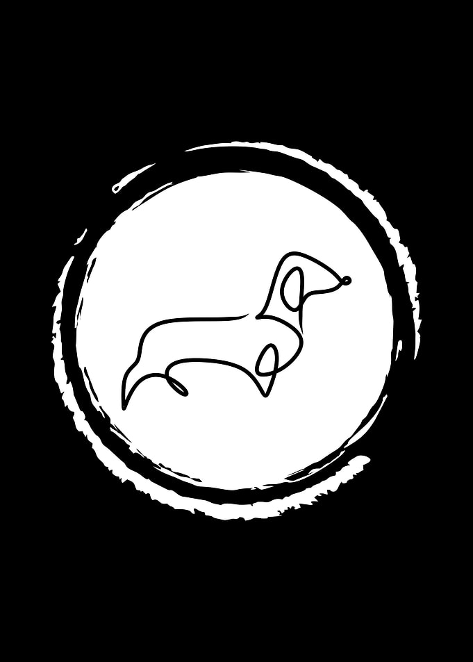 animals black and white
