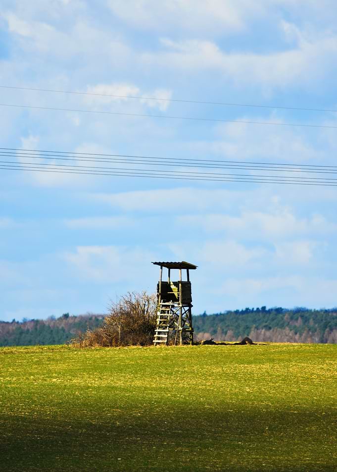 Field