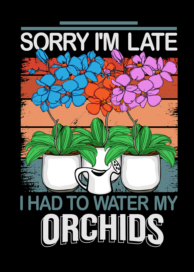 Orchid Plant Lover Florist