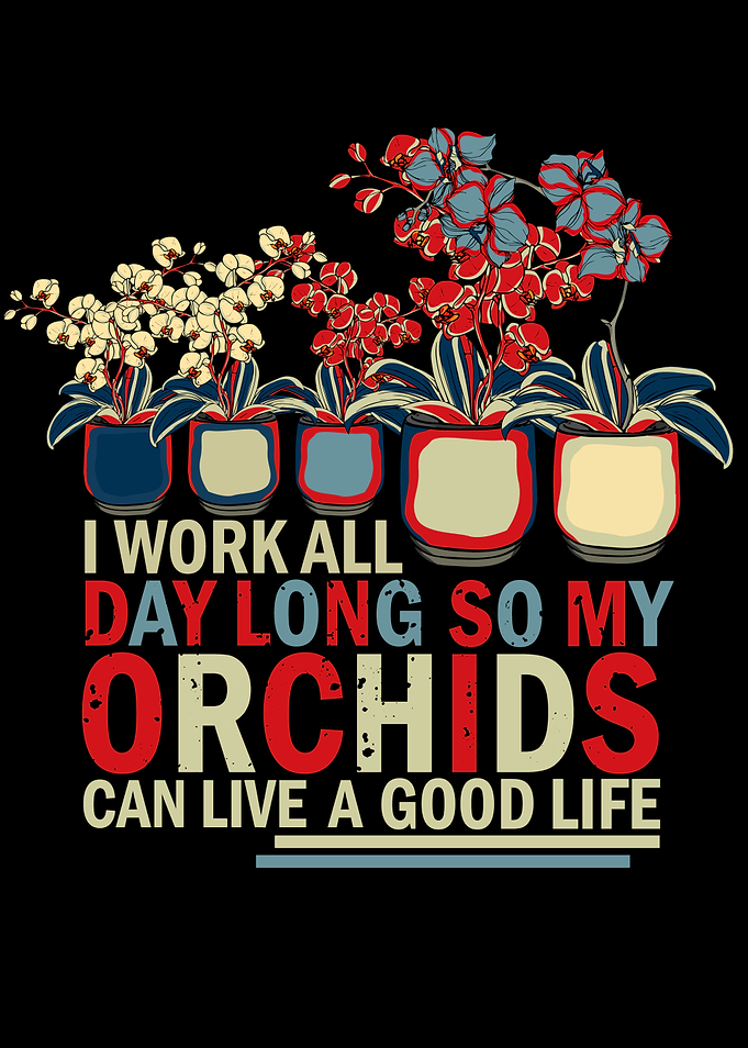 Orchid Growing Plant Lover