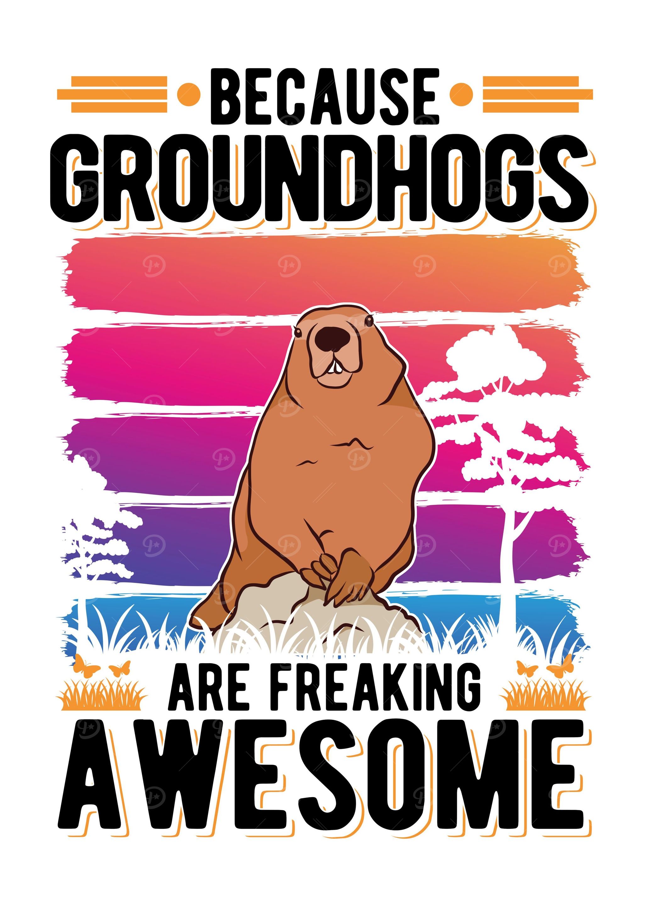 Groundhog Marmot Woodchuck