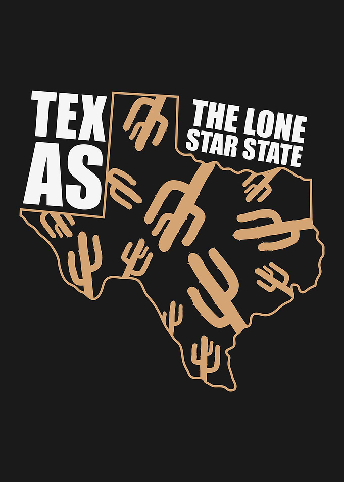 Texas State Map USA