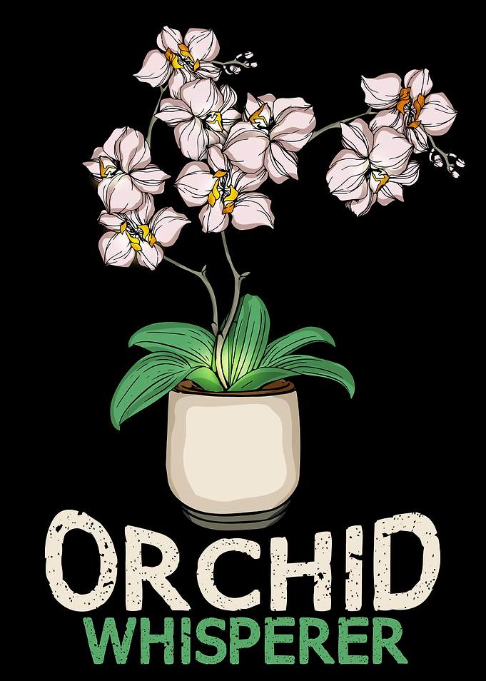 Orchid Whisperer Plants