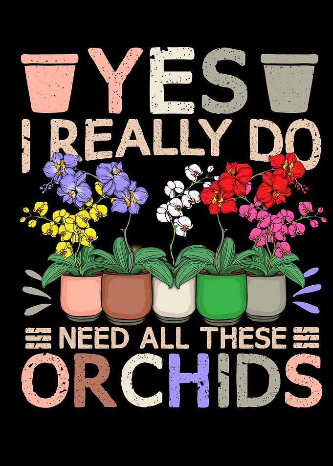 Orchid Lady Plant Lover