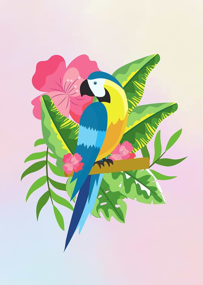 Blue and yellow macaw