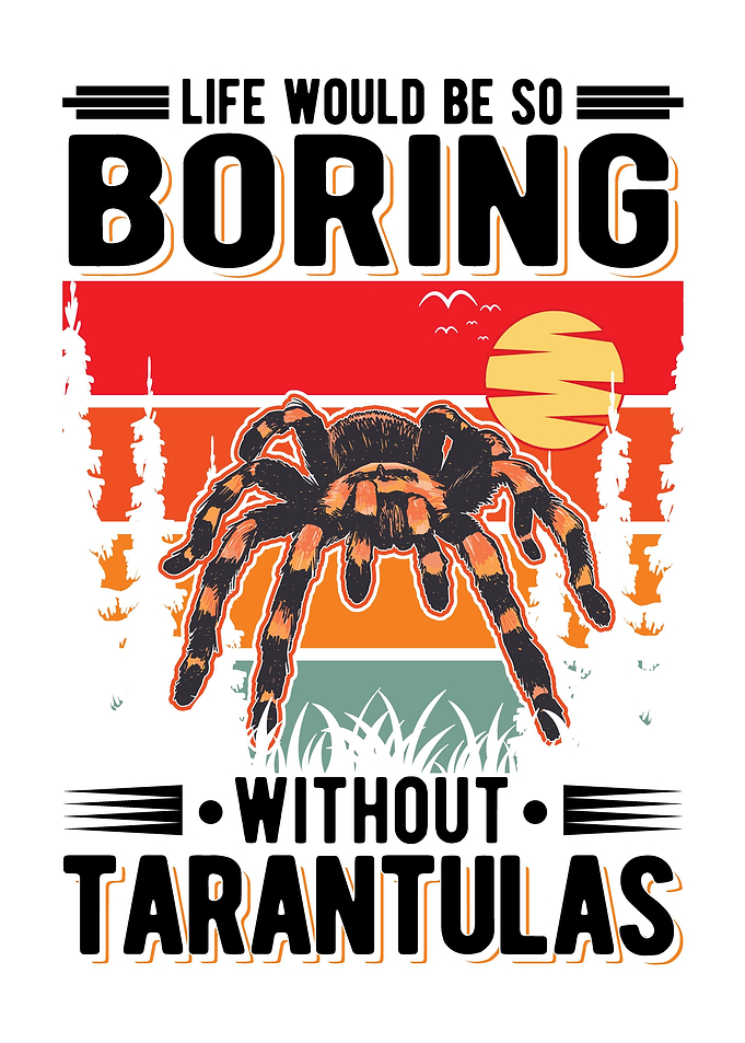 Tarantula Gift