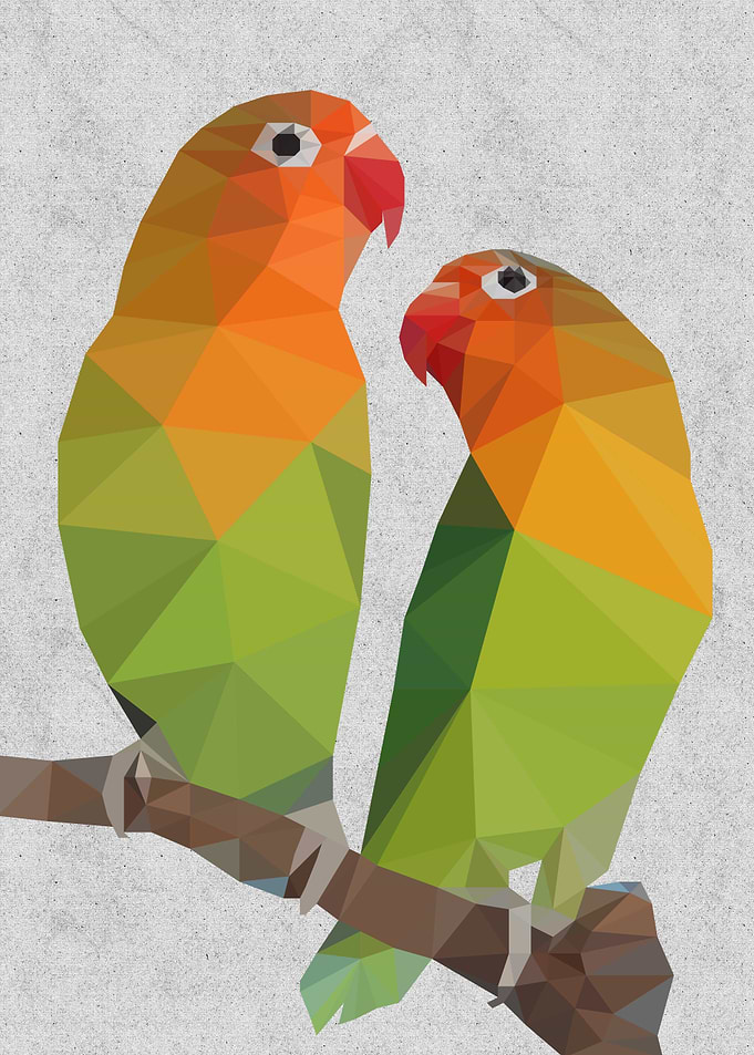 Love Bird