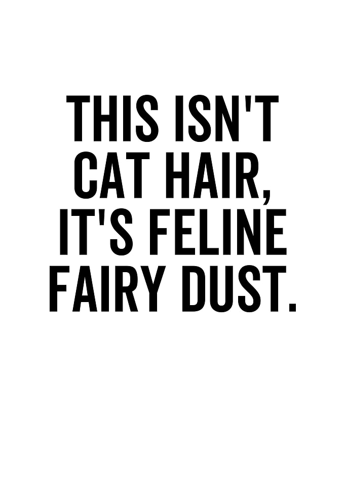 This Isnt Cat Hair Its