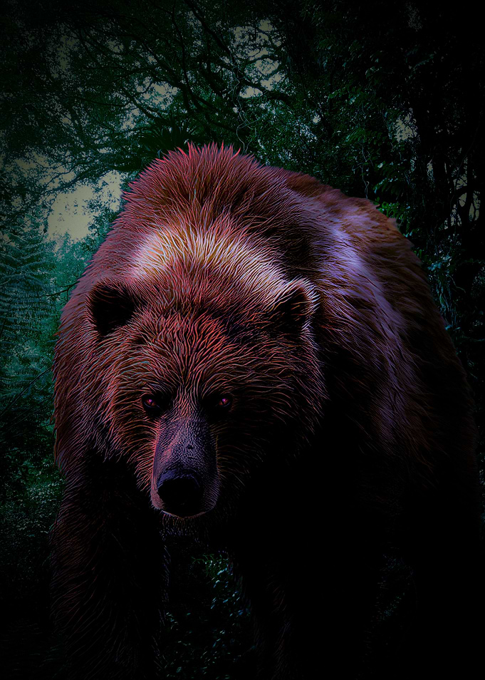 Bear Fantasy Poster