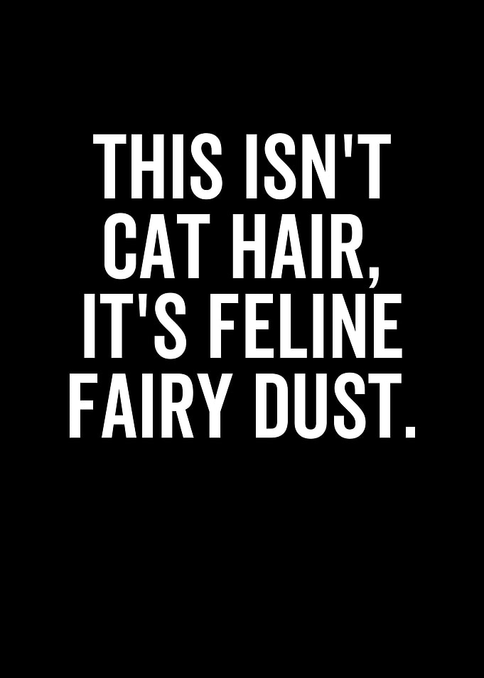 This Isnt Cat Hair Its