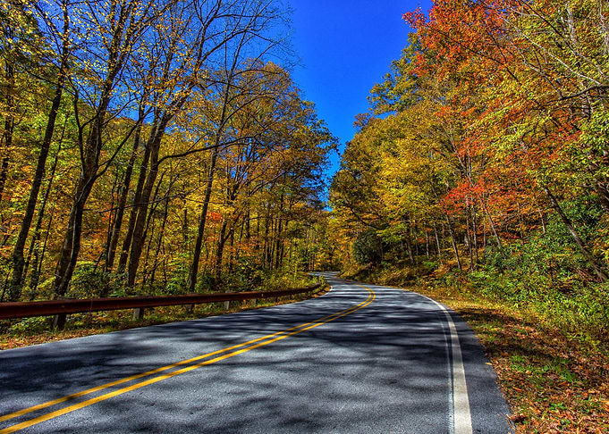 Fall Leaves North Carolina