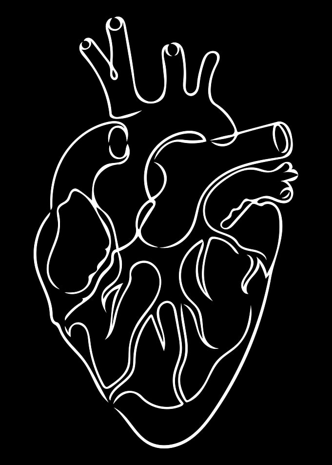Heart Line Art Minimal
