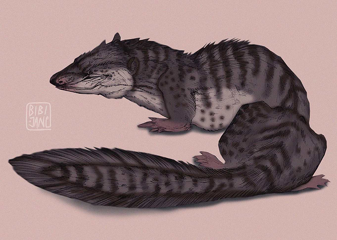 Mammal