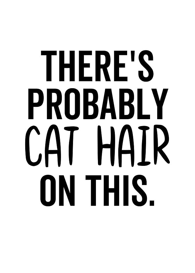 Theres Probably Cat Hair
