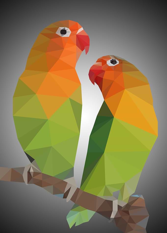 Love Bird