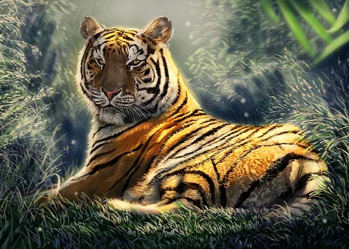 Siberian Tiger