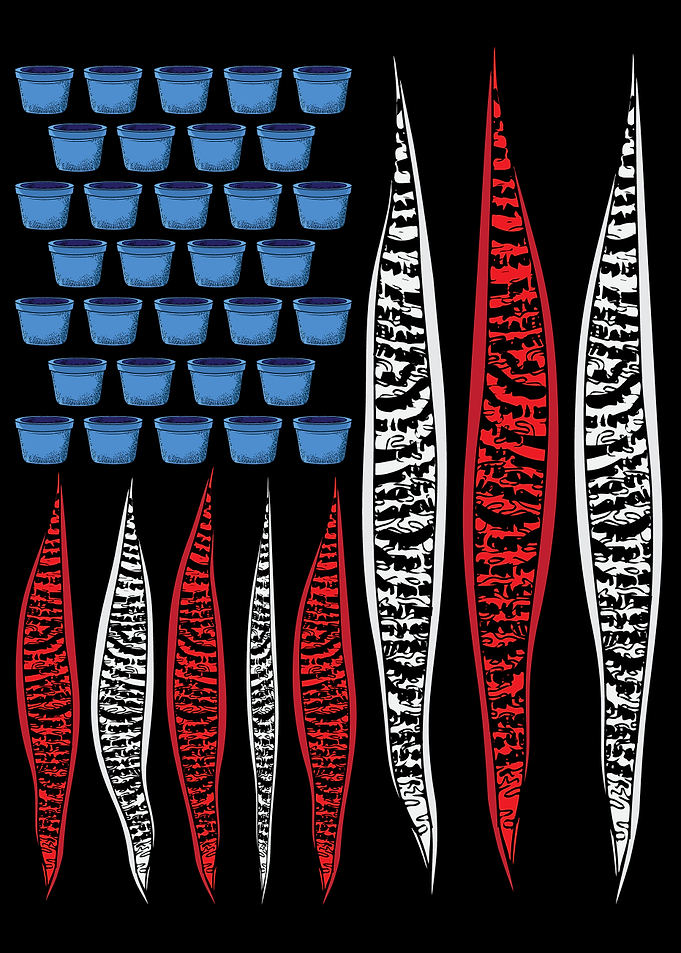 Snake Plant Lover USA Flag