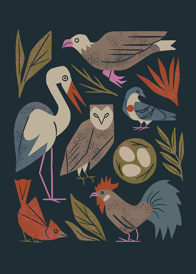 Bird Friends