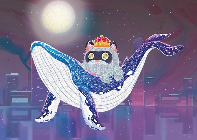Flying in Moonnight
