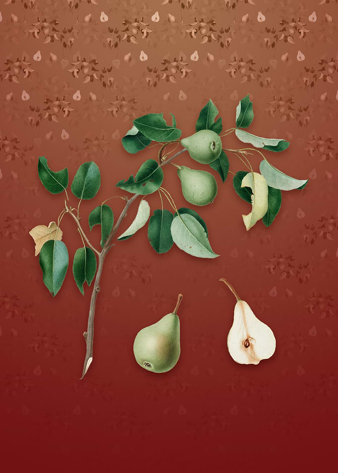 Vintage Pear on Falu Red